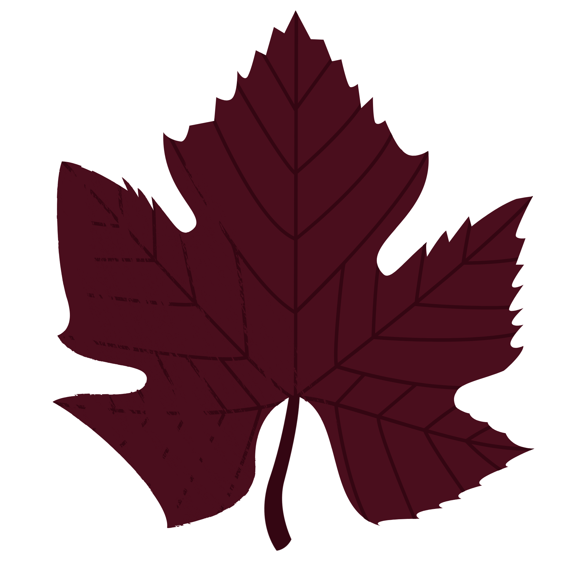 Feuille de vigne
